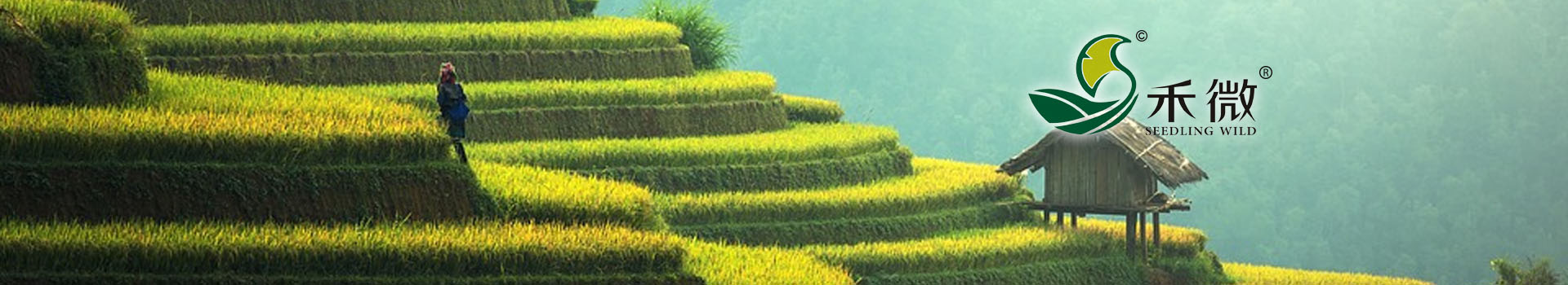 星空体育下载:液体缓释长效复合肥